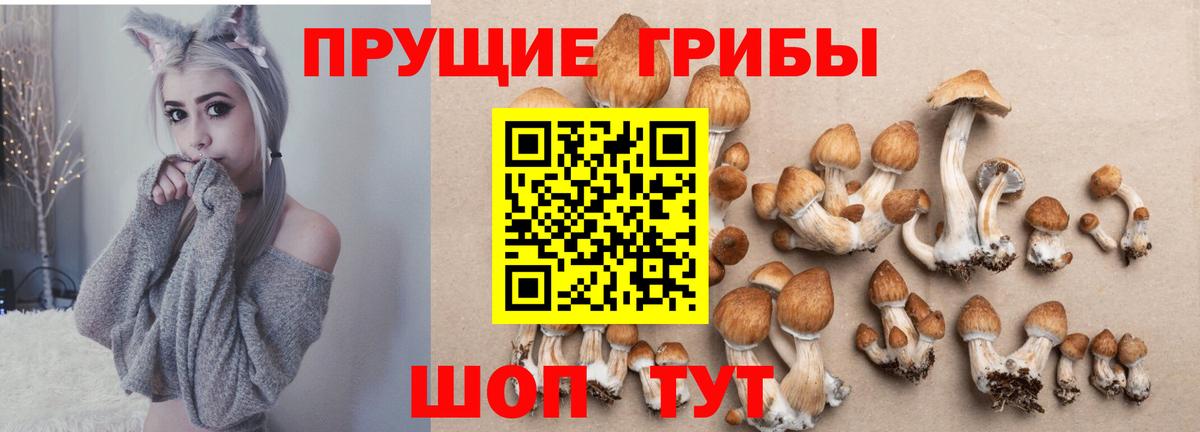 Галлюциногенные грибы мицелий Петрозаводск